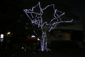 20141204184504.JPG