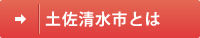 土佐清水市とは