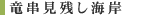 竜串見残し海岸