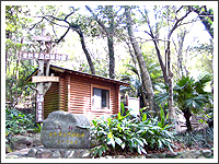 亜熱帯自然植物園