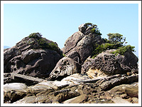 竜串見残し海岸