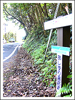 あしずり遍路道