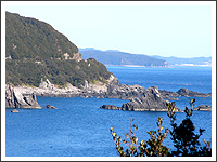 太平洋(黒潮)